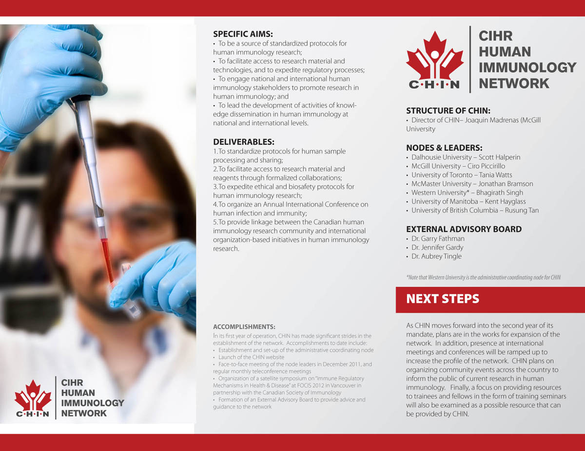 Brochure Design by Svetlin Angelov for this project | Design #719693