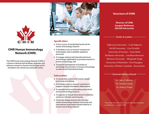 Brochure Design by CanonShooter