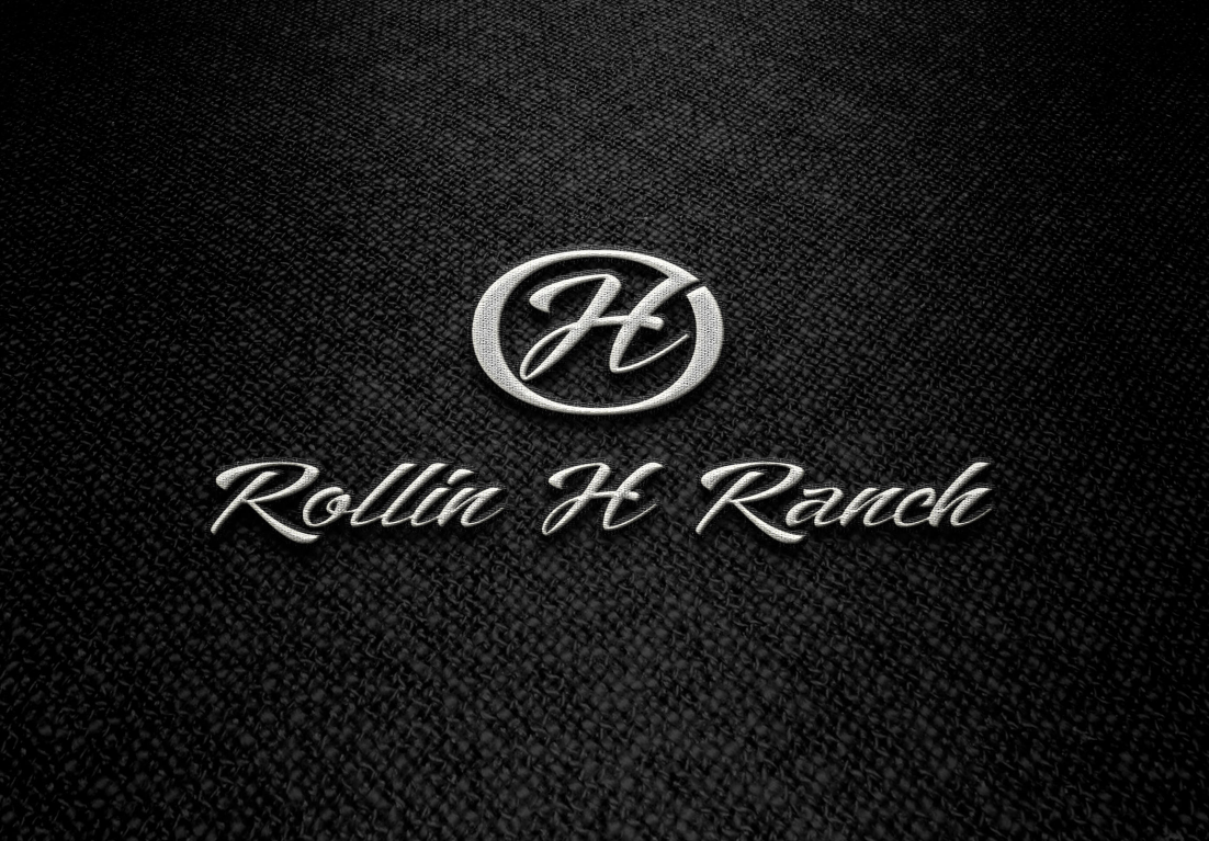 Logo Design by soulpro03 for this project | Design #22909242