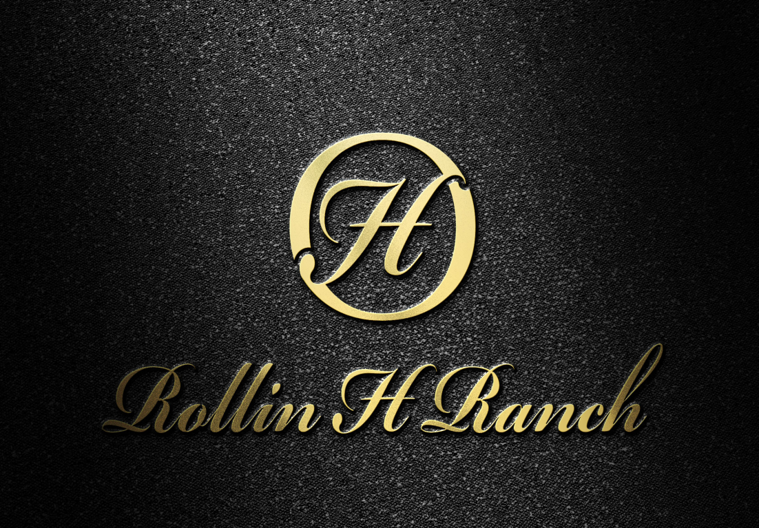 Logo Design by soulpro03 for this project | Design #22909282