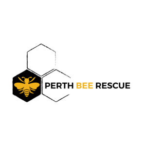 Logo Design by Suchetandesign
