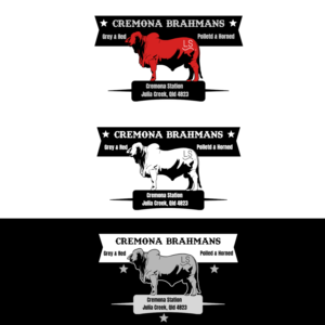 Logo Design by Tomi Ax