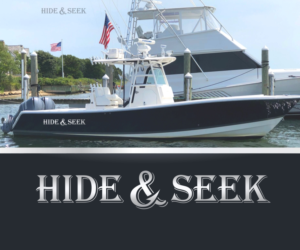 Logo Design by ddsgn for this project | Design: #22927192