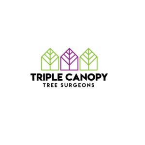 Logo Design by renderman