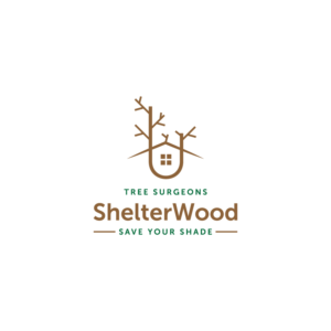 Logo Design by Mr_Ank