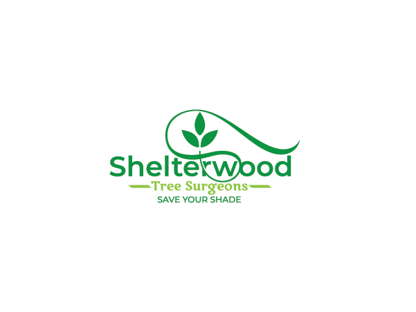 Logo Design by Logoriddim for this project | Design #22940695