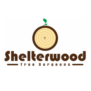 Logo Design by M Qosim Maghfur for this project | Design: #23023300