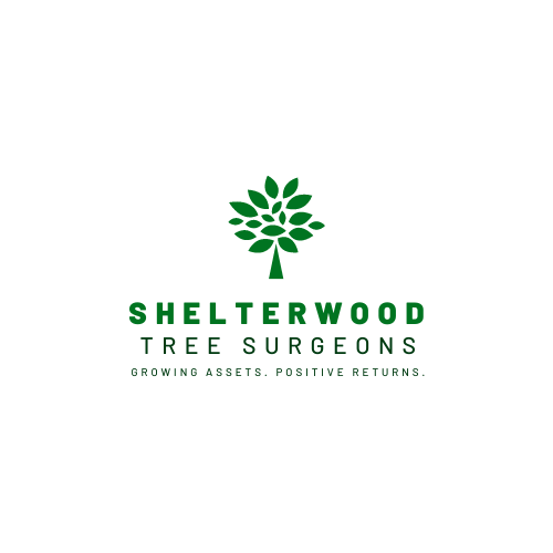 Logo Design by SonaDesigns for this project | Design #22941309
