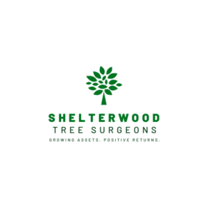 Logo Design by SonaDesigns for this project | Design: #22941309