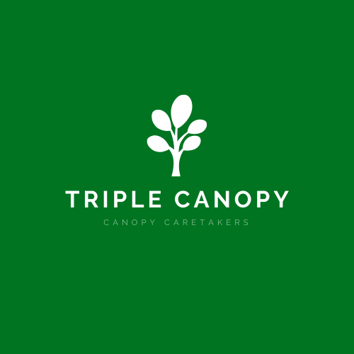 Logo Design by SonaDesigns for this project | Design #22941311