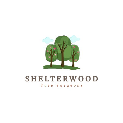 Logo Design by SonaDesigns for this project | Design #22941313