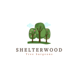 Logo Design by SonaDesigns for this project | Design: #22941313