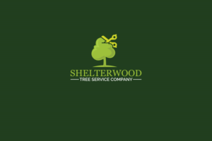 Logo Design by Jasmine.Designs for this project | Design: #22935713