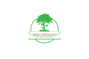 Logo Design by Jasmine.Designs for this project | Design: #22935717