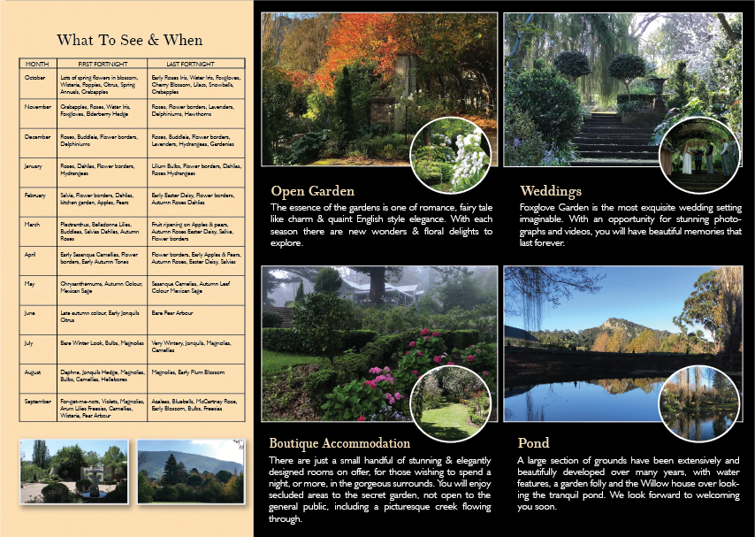 Flyer Design by alex989 for Foxglove & Co | Design #23257847