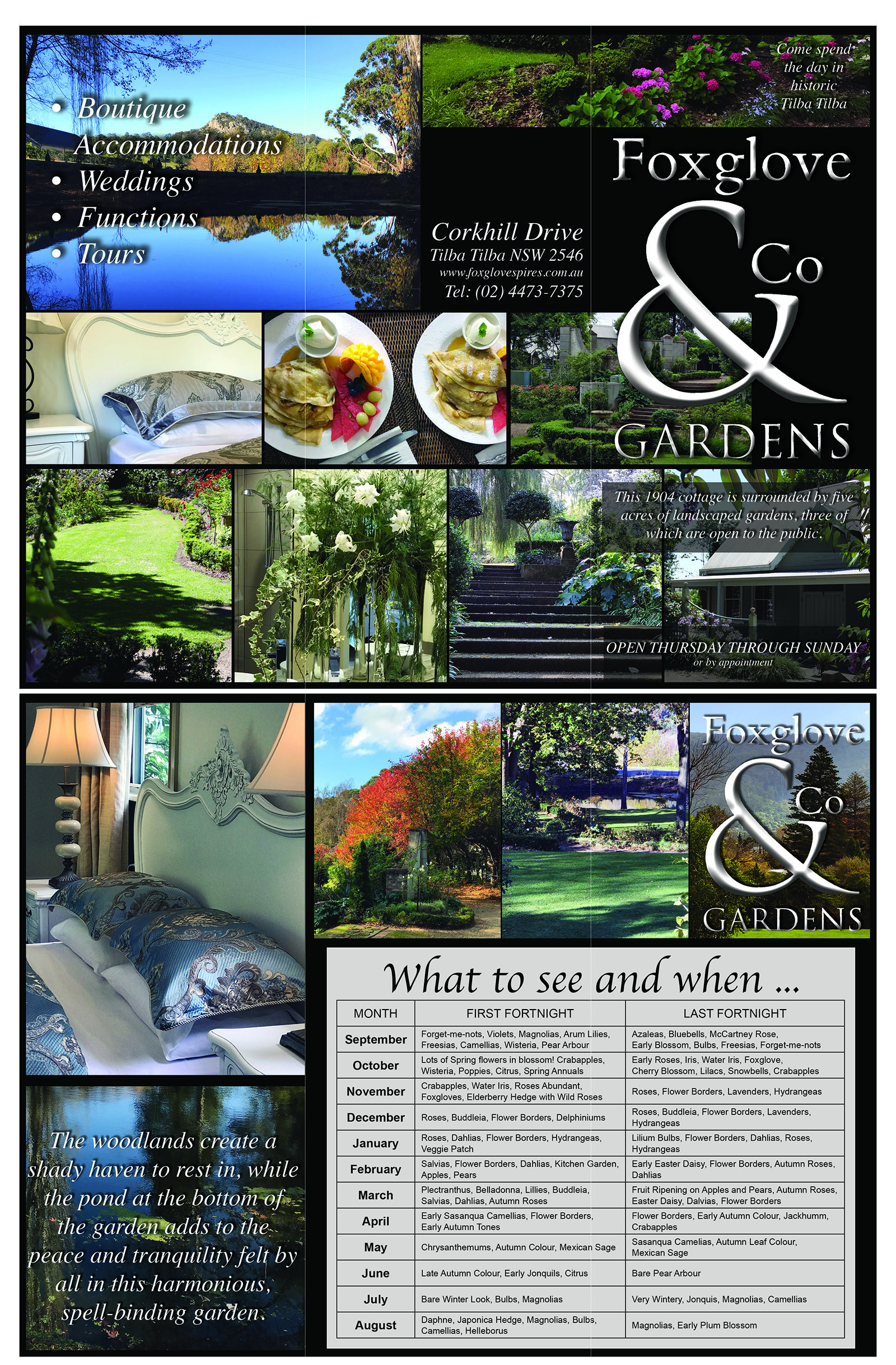 Flyer Design by selinavert 2 for Foxglove & Co | Design #22999888