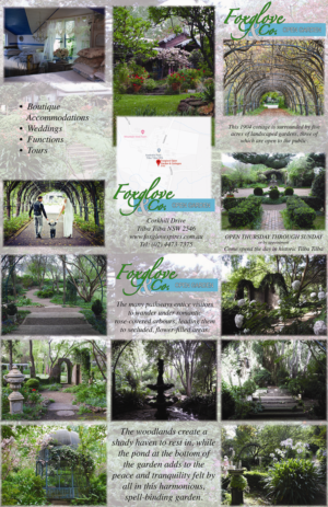 Flyer Design by selinavert 2