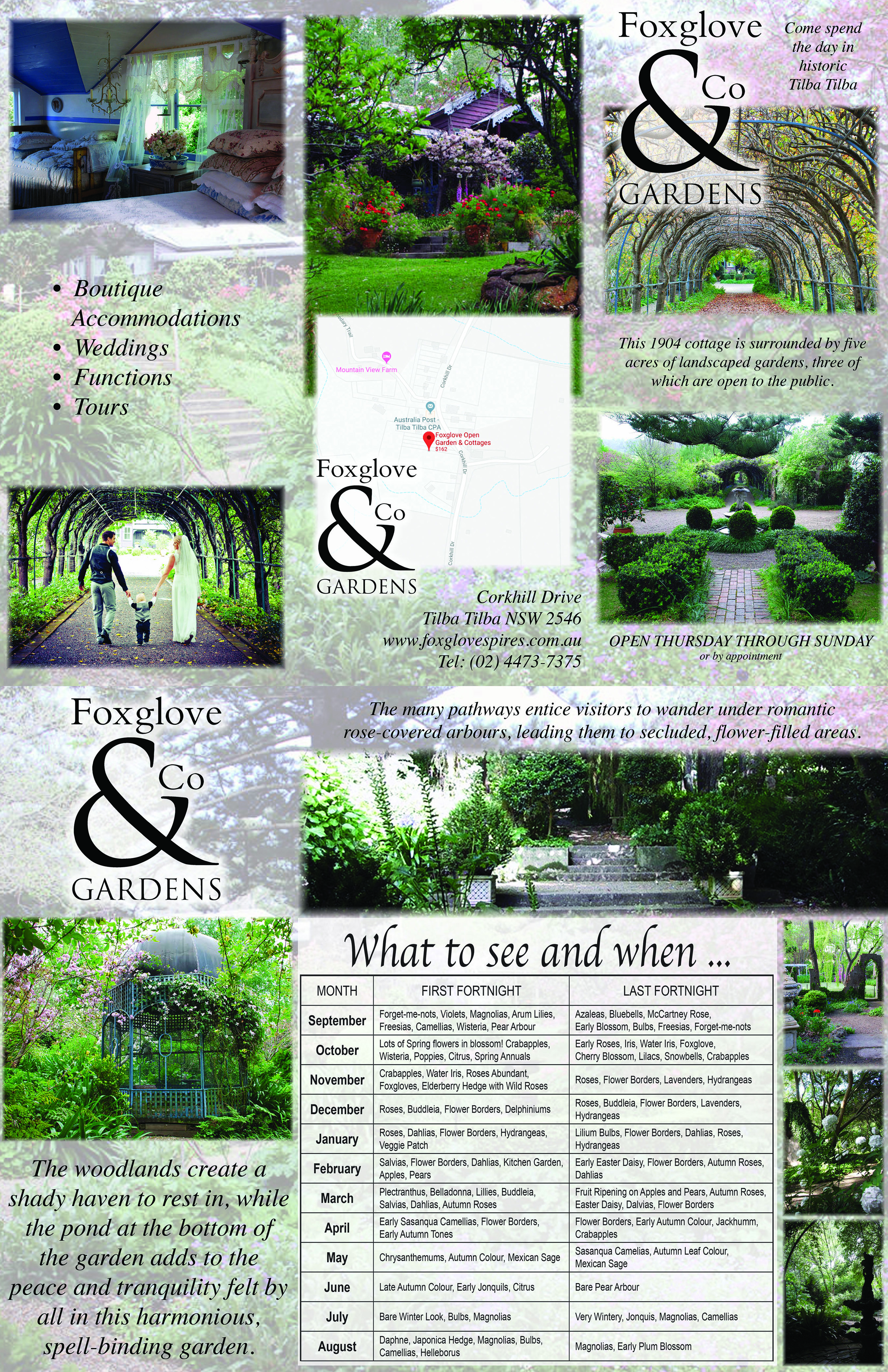 Flyer Design by selinavert 2 for Foxglove & Co | Design #22949144