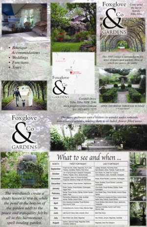 Flyer Design by selinavert 2 for Foxglove & Co | Design: #22949144