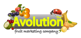 Logo Design by lazycom