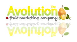 Logo Design by lazycom for this project | Design #717178