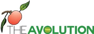 Logo Design by Marcus Hannaman