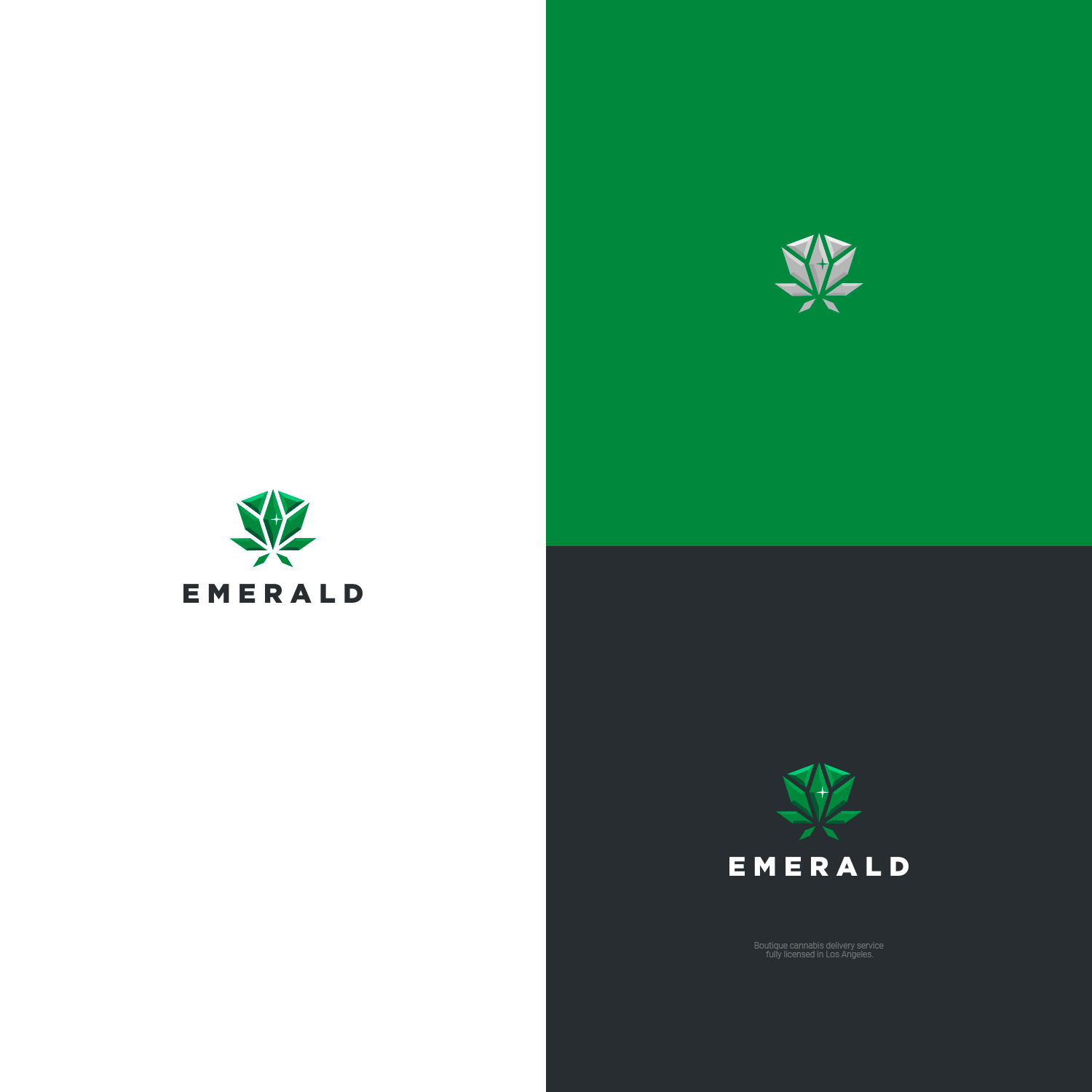 Design de Logo par Felipe Moura pour ce projet | Design #22953492