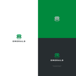Logo Design by Felipe Moura