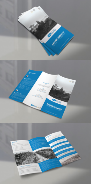 Brochure Design by creative.bugs for this project | Design: #22973265