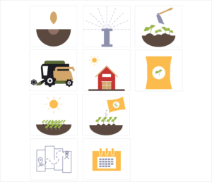 Icon Design by Elena 9