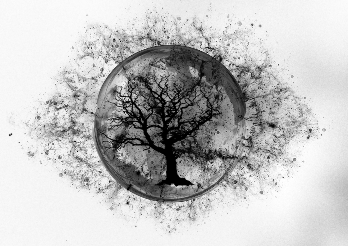 Tattoo Design by ackocar for this project | Design #23010482