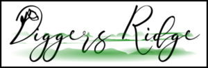 Logo Design by Akshaya 3