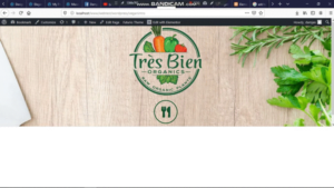 Web Design by DamienCrane