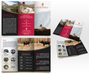 Brochure Design by Luniere Designs