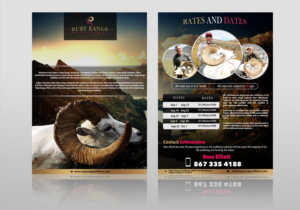 Brochure Design by Adnan.design for RS Taxidermy  | Design: #22977267