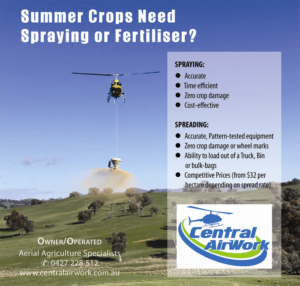 Newspaper Ad Design by Venus L. Penaflor for Central Airwork PTY LTD | Design #23019189