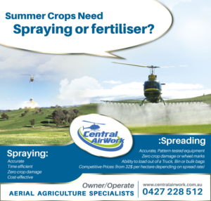 Newspaper Ad Design by Resolution -  Artistic Production Services for Central Airwork PTY LTD | Design #23022431
