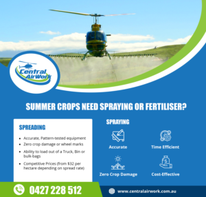 Newspaper Ad Design by lemosys infotech