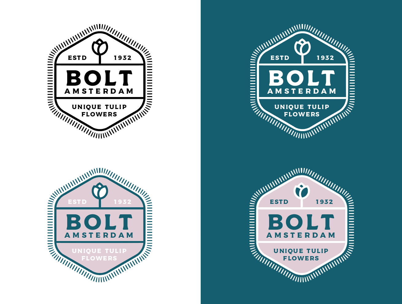 Logo Design by wonderland for BOLT Amsterdam | Design #22988560