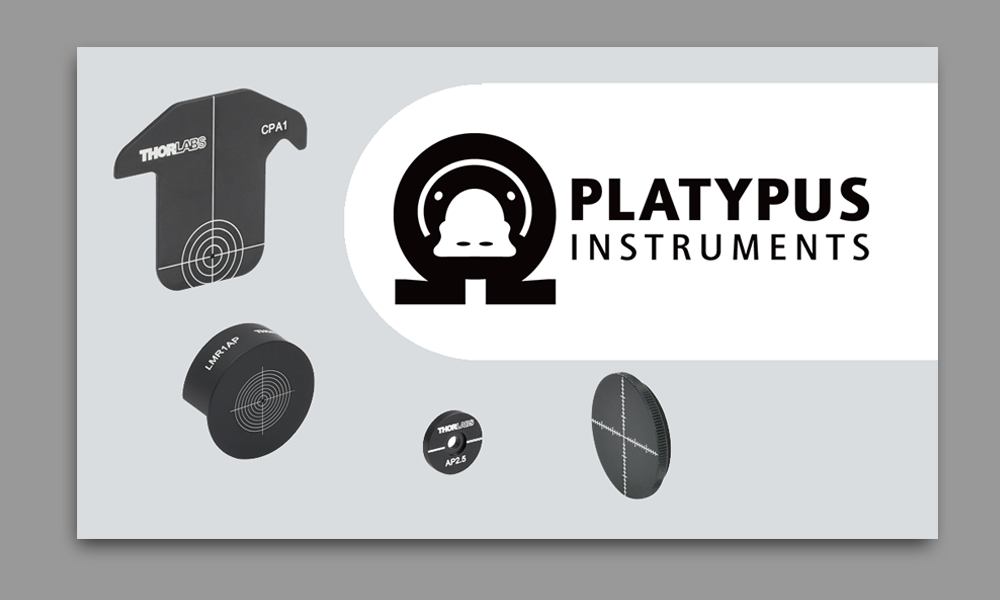Business Card Design by grafixlkcom for this project | Design #23023804