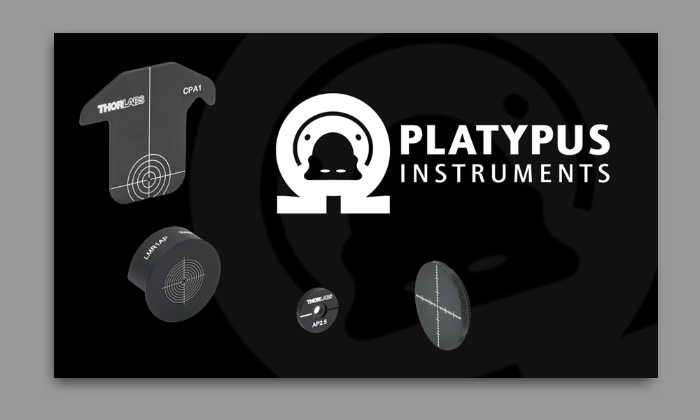 Visitenkarten-Design von grafixlkcom für dieses Projekt | Design #23023849