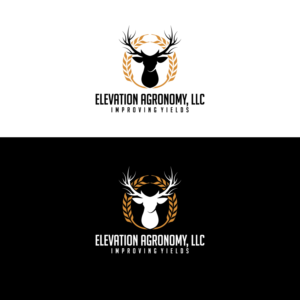 Logo Design by Graphic Bricks