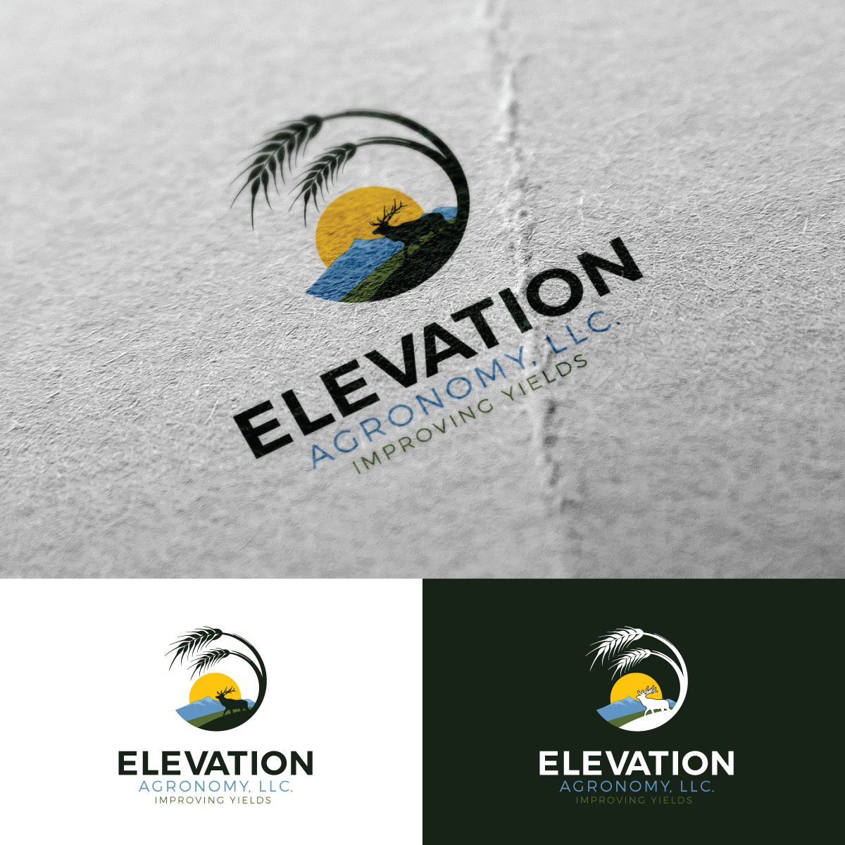 Logo Design by Rii for Elevation Agronomy, LLC | Design #22981159