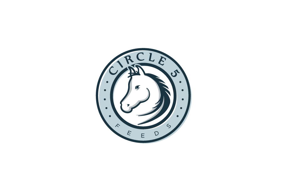 Logo Design by jaime.sp for this project | Design #23021275