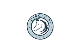 Circle 5 Feeds or illustrated circle 5 with feeds following. | Logo Design by jaime.sp