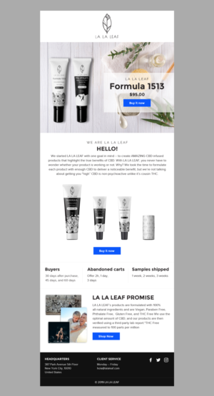 Email Marketing Design by Brajpal Freelance Website Designer