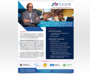 Management Consulting and Executive Coaching business needs a brochure. | Flyer Design by Luniere Designs