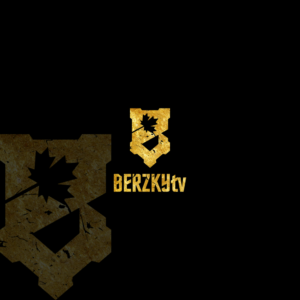 Berzky or Berzkytv  | Logo Design by AFD