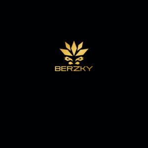 Berzky or Berzkytv  | Logo Design by DesignDUO