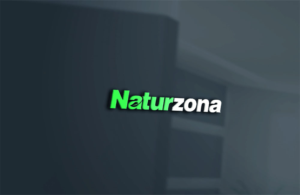 Design de Logo par 4tech services pour ce projet | Design : #22993880